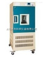 YWS-250 上海精宏 藥品穩定性試驗箱 培養箱
